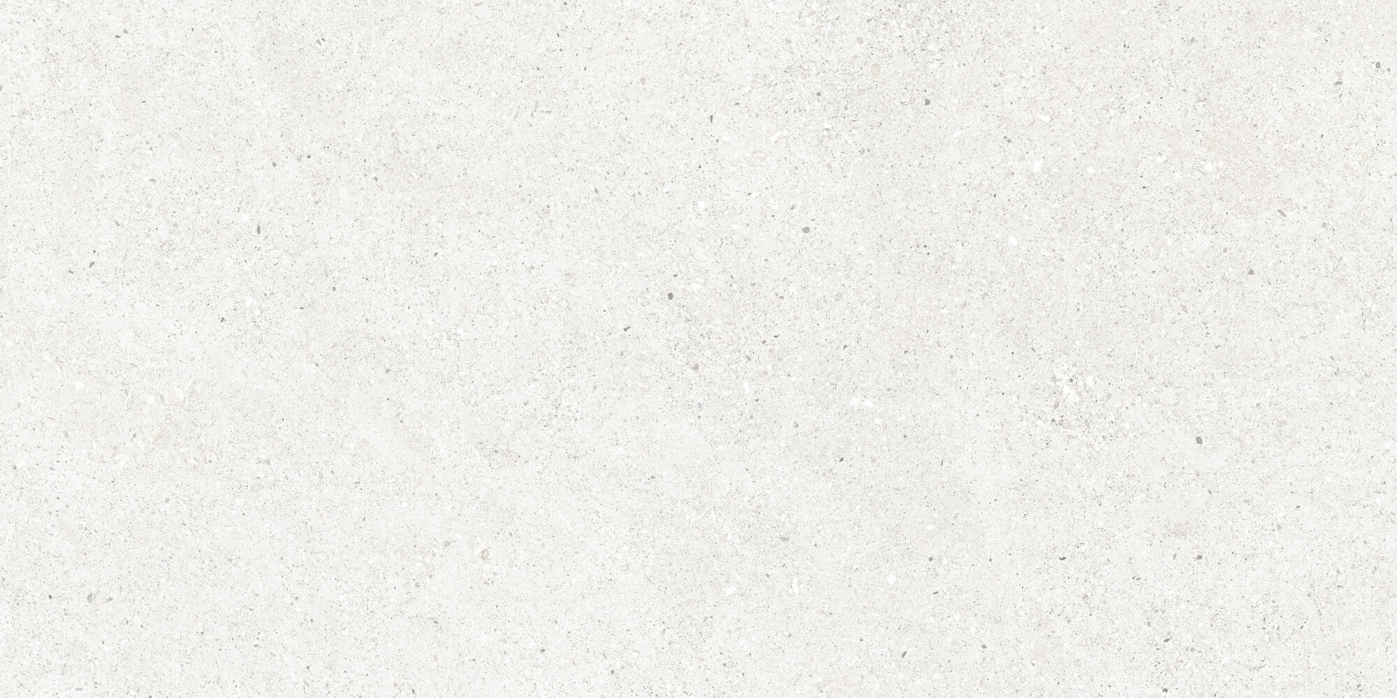 Perla Bianco Керамогранит светло-серый CR6012G0481R 59,5х119,1 матовый