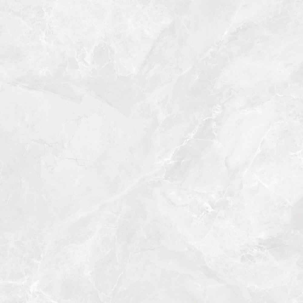 Regnum Bianco Керамогранит светло-серый CR6060G0391R 59,5х59,5 матовый