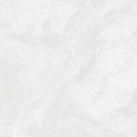 Regnum Bianco Керамогранит светло-серый CR6060G0391R 59,5х59,5 матовый