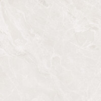 Mramor Princess White Керамогранит светло-серый 60х60 Полированный