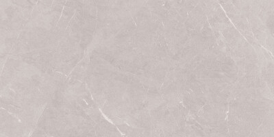 Stone Sovereign Керамогранит серый 60х120 Матовый