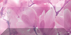 Magnolia Бордюр рельефный br1020D297-2 20х10