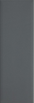 Tenone Grafit Плитка настенная 9,8х29,8