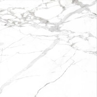 Керамогранит AB1003G Saturio Classic gloss 600x600