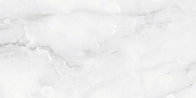 Керамогранит AB 1182G Snow Onix Grey Gloss 1200x600