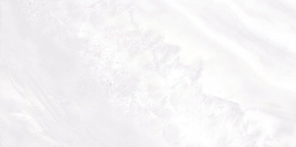 Плитка WT9PAL00 Palmira light 249*500*8,5