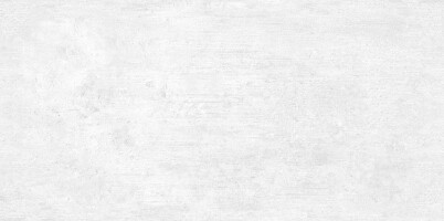 Плитка WT9BTN00 Beton Gray 24.9х50
