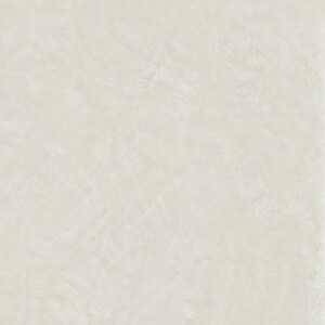 Керамогранит 600010002400 Rinascente Resin White Matt Rett 120x120