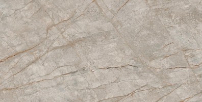 Керамогранит 610015000603 Empire Silver Root Lapp 80x160