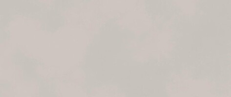 Плитка AKMY Boost Color Dove 50x120