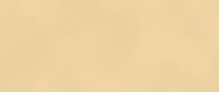 Плитка AKM3 Boost Color Sun 50x120