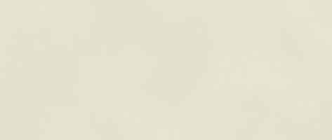 Плитка AKM4 Boost Color Salix 50x120