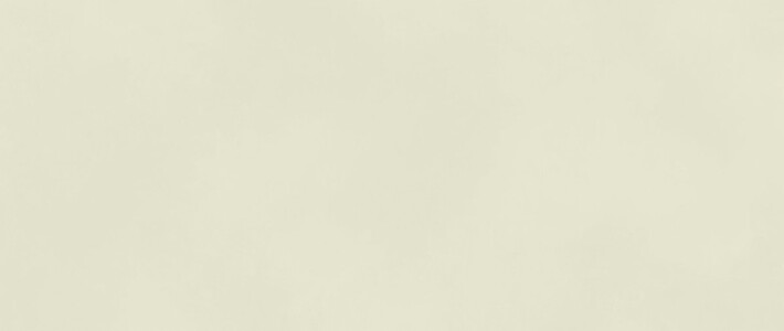 Плитка AKM4 Boost Color Salix 50x120