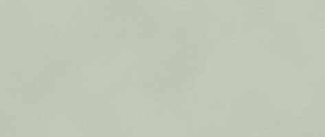 Плитка AKM5 Boost Color Mint 50x120