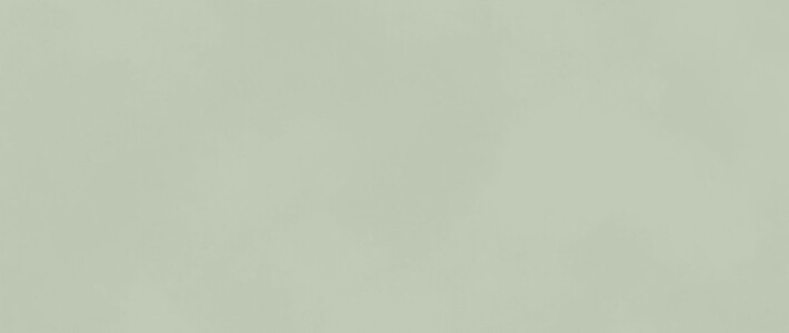 Плитка AKM5 Boost Color Mint 50x120