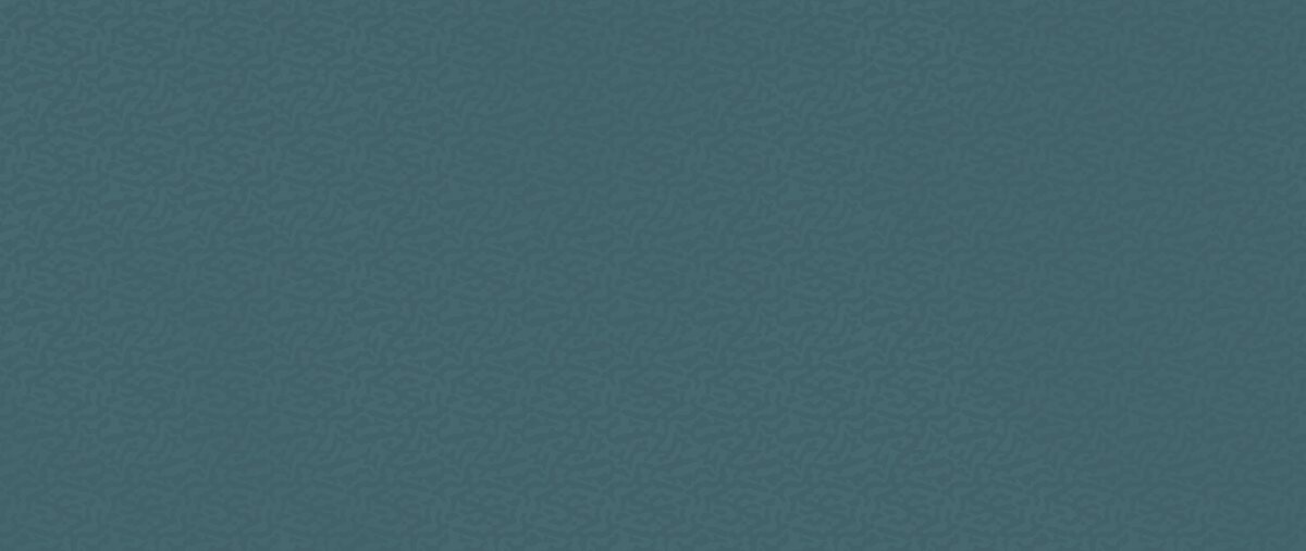 Плитка AKN8 Boost Color Navy Frog 50x120