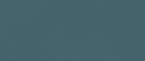 Плитка AKN8 Boost Color Navy Frog 50x120