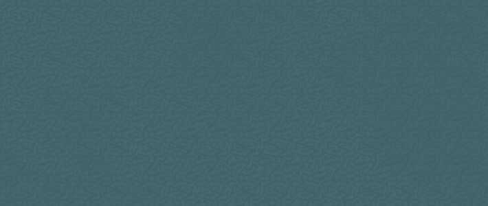 Плитка AKN8 Boost Color Navy Frog 50x120