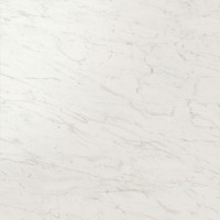 Керамогранит AY2U Marvel Cremo Delicato Lappato 120x120
