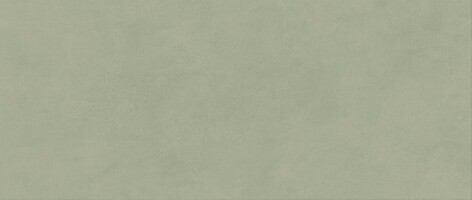Плитка AYR7 Boost Expression Olive Matte 50x120