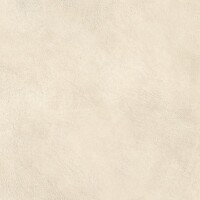 Керамогранит AYR3 Boost Expression Shell Outdoor 20mm 60x60