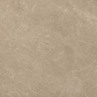 Керамогранит AEN1 Marvel Elegant Sable Lap. 60x60