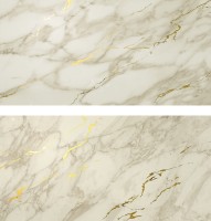 Плитка 8EGD Marvel Royal Calacatta Gold Vein 1 40x80