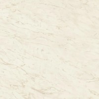 Керамогранит A206 Marvel Cremo Delicato 120x120