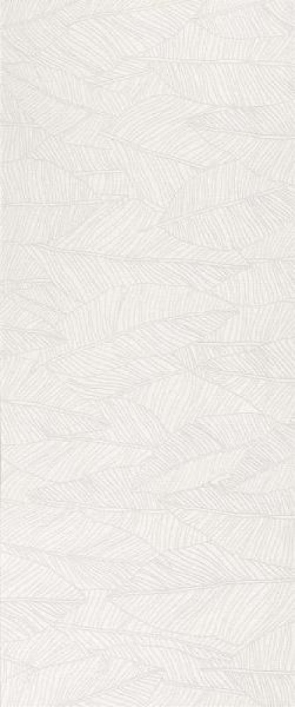Плитка A6FC White Leaf 50x120