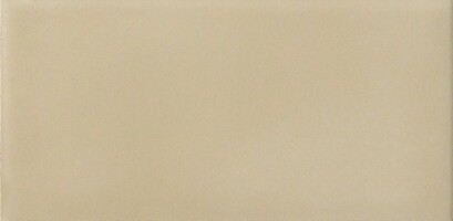 Плитка YY88 Amarcord Tabacco Matt 10x20