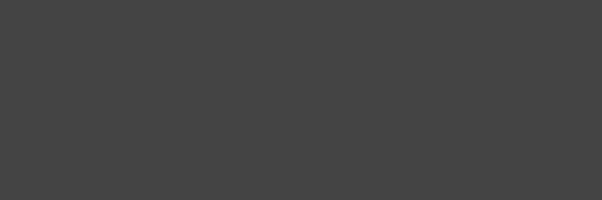 Плитка VGU231 Vegas черный 25x75