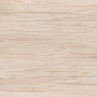 Керамогранит C-BN4R112D Botanica коричневый 42x42