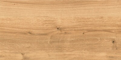 Керамогранит C-WS4O112D Woodhouse коричневый 29,7х59,8