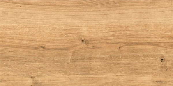 Керамогранит C-WS4O112D Woodhouse коричневый 29,7х59,8