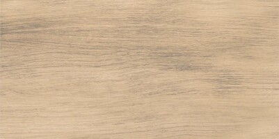Плитка NRL_P0015 Naomi Wood Brown 30х60