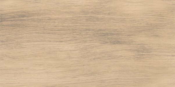 Плитка NRL_P0015 Naomi Wood Brown 30х60