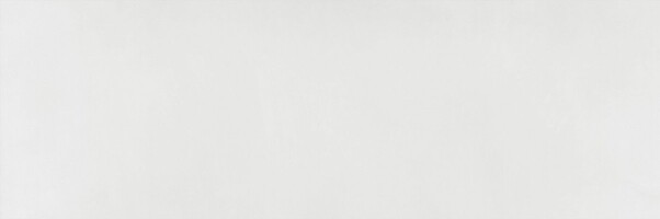 Плитка WT15BFN15R Baffin Gray Light 246*740*9,8