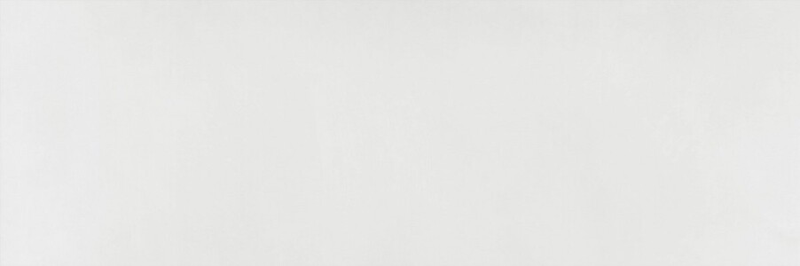 Плитка WT15BFN15R Baffin Gray Light 246*740*9,8