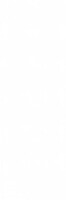 Плитка WT15ROL00R Royal White 24.6x74