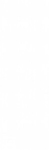 Плитка WT15ROL00R Royal White 24.6x74