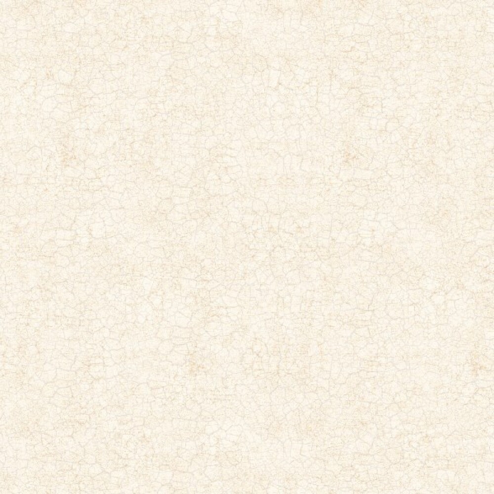 Керамогранит FT4DIL01 Diana Limb 41x41