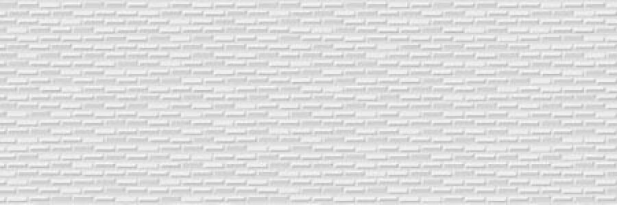 Плитка Fan Kite Blanco Rect. 25x75