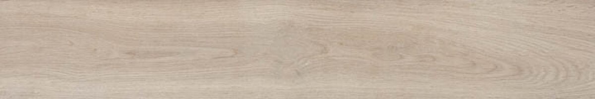 Керамогранит HARDWOOD ROBLE rect. 20x120