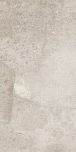 Керамогранит EE01 Seed Light Grey Неполированный 30,6x60,9x8