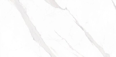 Керамогранит STATUARY Compacglass Blanco 60x120