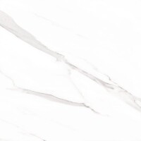 Керамогранит STATUARY Leviglass Blanco 120x120