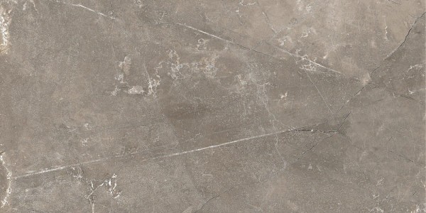 Плитка GT122VG Siluet Коричневый 50x25
