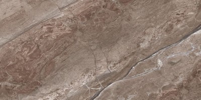 Плитка GT141VG Sonesta Коричневый 50x25