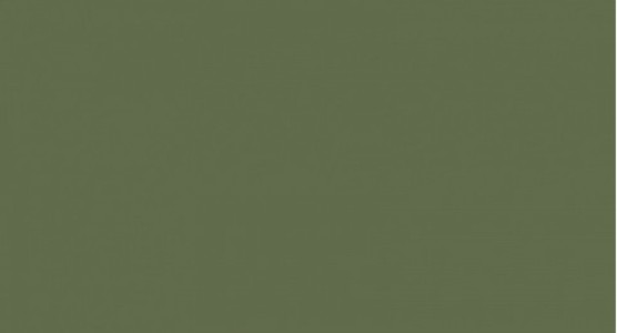 Керамогранит G-116/PR Зеленый 60*120