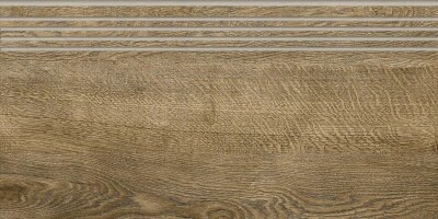 Ступени G-252/SR/st01 Italian Wood 20х60